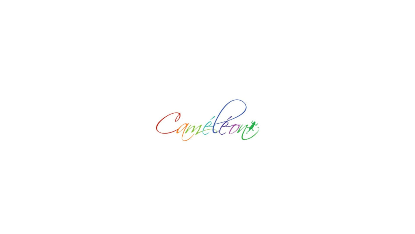Cartable Caméléon